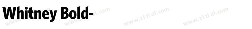Whitney Bold字体转换 Whitney Bold字体转换